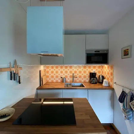Apartment Grand Bornand, Appt 2 Pieces 5 Couchages, Calme, Cheminee, Navettes Proches - Fr-1-241-142 Le Grand-Bornand